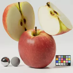Apple 3D model