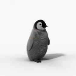 Baby Emperor Penguin Animated VFX Grace 3D model
