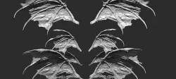 Bat Wings Collection 1 3D model