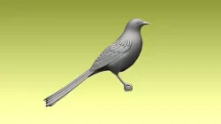 bird magpie 3D model