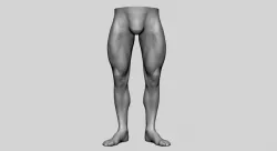 Bodybuilder Leg 3D model