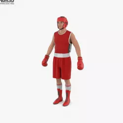 Boxer Amateur 3D model