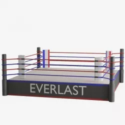 Boxing Ring   Low-poly 3D model