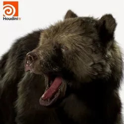 brown bear RIGGED 3D model