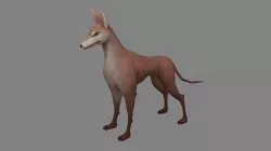 Cartoon doberman - hound - police dog Low-poly 3D model
