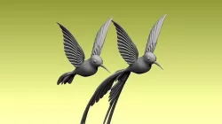colibri humming bird 3D model