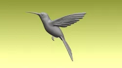 colibri humming bird 3D model