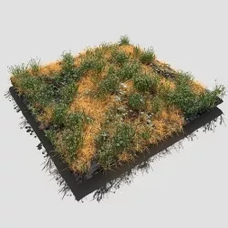 Common Snowdrop Meadow Patch and Free Gift 3D model