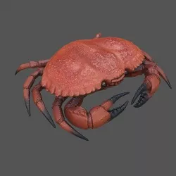 Crab Big Red  Low-poly 3D model