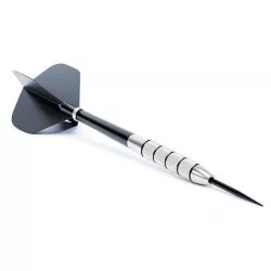 Darts 3D model