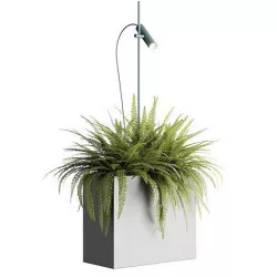 Dots Planter Lamp 3D model