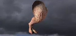 Dragon leg  Red Fin 3D model