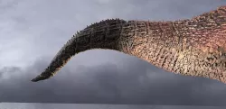 Dragon Tail red fin 3D model