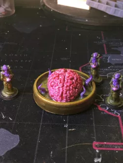 Elder Brain