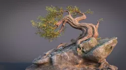 Fantasy Old Tree On A Rocky Low-poly 3D model