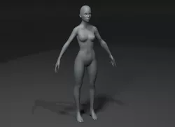 Female Body Base Mesh Animated and Rigged 3D Model 10k Polygons Low-poly 3D model