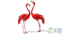 Flamingo 3D model