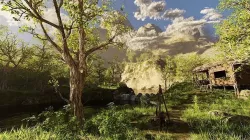 Forest Hut Scene 3D model