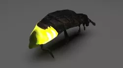 Glow Worm 3D model