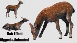 hair effect deer  3D model