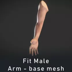Human Male Arm - base mesh 3D model