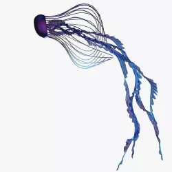 Jellyfish 3D model