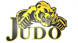 Judo Bears - Phoenix College 3D model