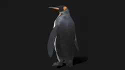 King Penguin - Animated Low-poly 3D model