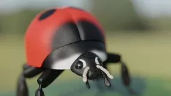 Ladybug 3D model