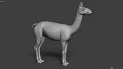 Llama - Highpoly Sculpture 3D model