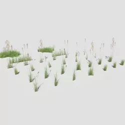 Low Poly Bent Grass Pack Low-poly 3D model