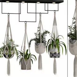 macrame plant hanger 3D model