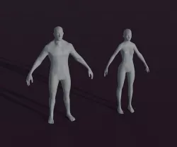 Male and Female Body Base Mesh Animated and Rigged 3D Model Low-poly 3D model