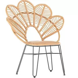 Natural Brown Rattan and Black Metal Accent Chair 3D model
