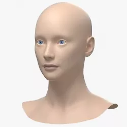Natural Female Head 01 Generic Base Mesh Low-poly 3D model