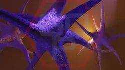 NEURON Low-poly 3D model