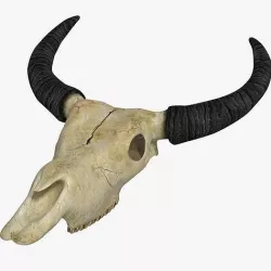 Ox skull Low-poly 3D model