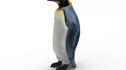 Penguin 3D model
