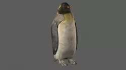 Penguin 3D model