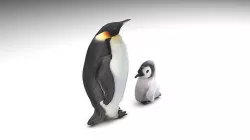 Penguins 3D model