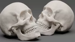 Photorealistic human skull 3D model