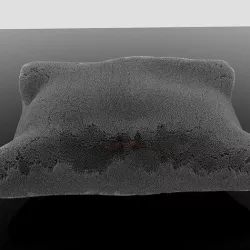 Pillow high qualty 3D model