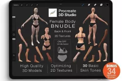 Procreate 3d Model - Female Bundle 3D model