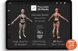 Procreate 3d Model -Full Body Female 3D model