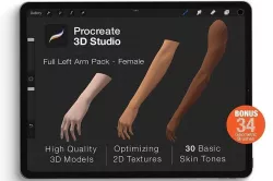 Procreate 3d Model - Left Arm Female 3D model