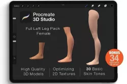 Procreate 3d Model - Left Leg Female 3D model