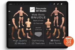 Procreate 3d Model Pack - Male Body Bundle 3D model