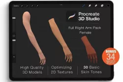 Procreate 3d Model - Right Arm Female 3D model