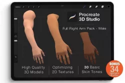 Procreate 3d Model - Right Arm male 3D model