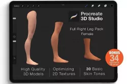 Procreate 3d Model - Right Leg Female 3D model